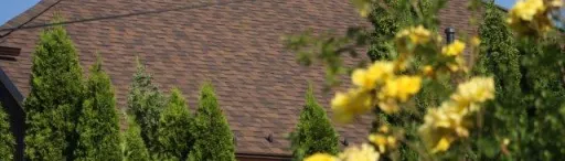 Cambridge roof