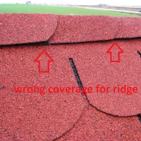 Do not use Biber as ridge