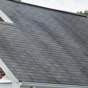 Algea stains on roof
