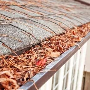 Blocked gutter on roof