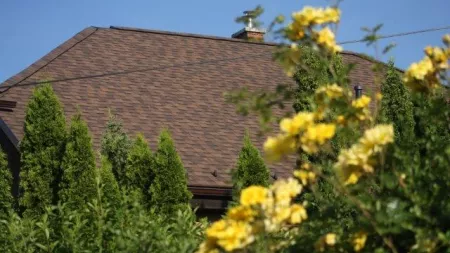 Cambridge roof